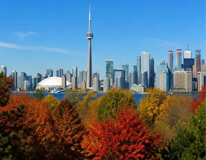 Toronto skyline framed by autumn maple trees